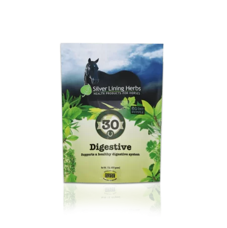 Silver Lining #30 Digestive Support